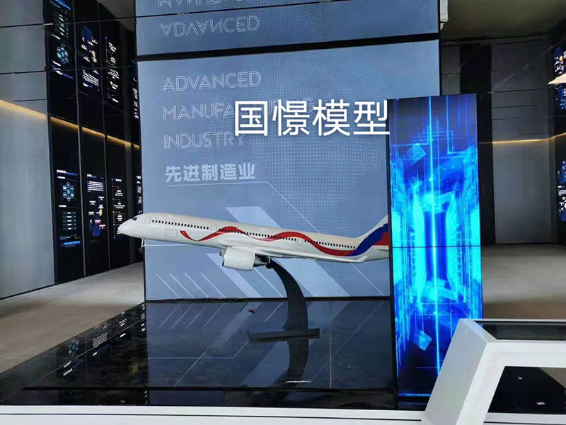 吴忠飞机模型