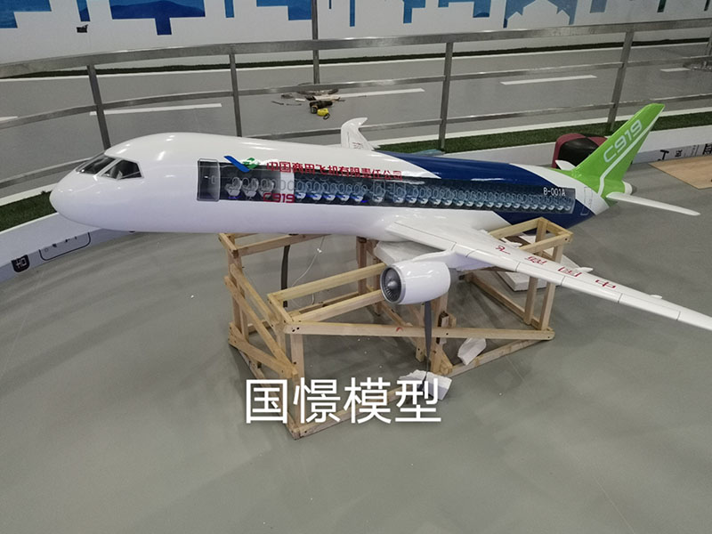吴忠飞机模型